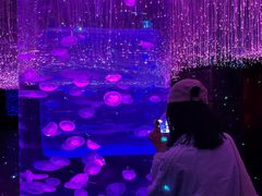 -波塞冬旅游度假区