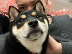 -浣熊柯尔鸭土拨鼠·电玩咖