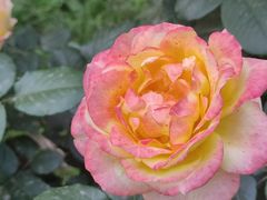 -德天下自助水饺(海洪店)