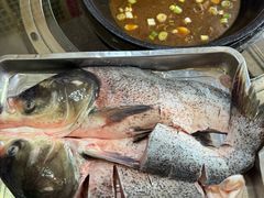 -姥家大锅台水库渔家