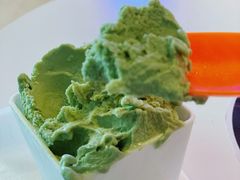 -野人牧坊Gelato(天津南开大悦城店)