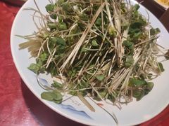 燕青荞麦菜-兴农记