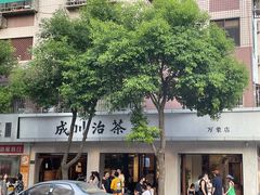 -成川茶店·潮汕工夫浓茶(万象店)