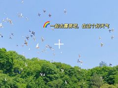 -音乐台