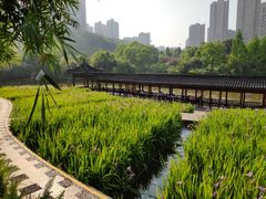 -龙头寺公园