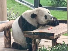 -无锡动物园·太湖欢乐园