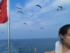 -海驴岛(荣成市)
