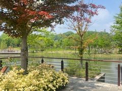 -苏州上方山国家森林公园