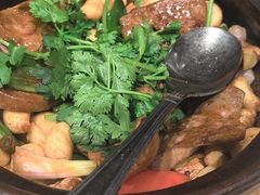 -侨美·唐荔园·40年地道粤菜