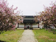 -苏州上方山国家森林公园