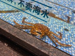 -旺豪阳光超市(友谊阳光城店)