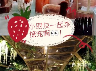 六一畅玩/带上你的娃去撩宠乐园撩宠吧!