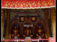 -神光山国家森林公园