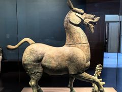 -广西壮族自治区博物馆