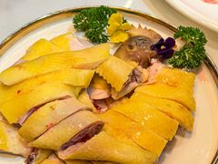 -喜聚薈·花膠雞海鮮火鍋(越秀店)