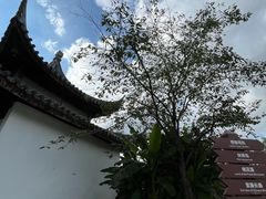 -苏州上方山国家森林公园