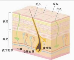 -中科妍美专业脱毛美肤连锁机构