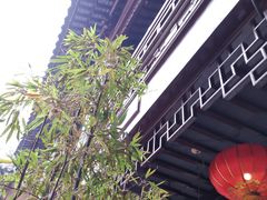 -上海白云观