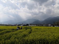 -喜林苑·稻田餐厅(品相府店)