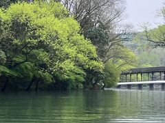 -中国茶叶博物馆(双峰馆区)