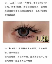 -丽尔美睫
