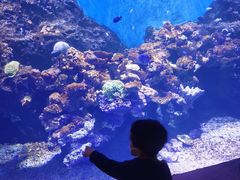 -华夏文旅海洋公园