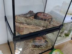 -上海昆虫博物馆