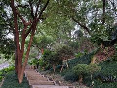 -乌山风景区