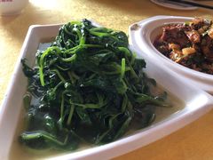 豌豆尖-胖大姐黄辣丁鱼庄(新津店)