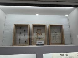 -酷嗒动物文化乐园(cutezoo西溪乐天城店)