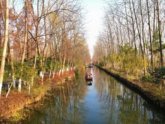 游乐设施-合肥滨湖国家森林公园