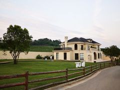 -龙坞茶村