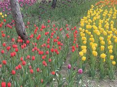 -长春公园(普阳街道)