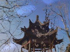 -梅花山(明孝陵内)