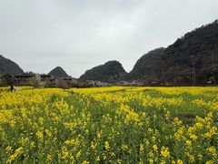 -高荡千年布依古寨旅游景区