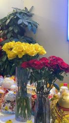 -YASAKI国际舞蹈中心