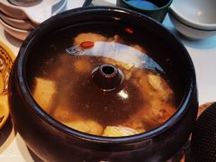 -云海肴·汽锅鸡·云南菜(高德置地店)