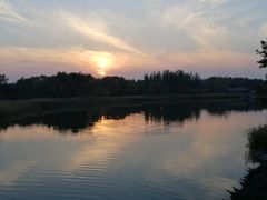 -大兴滨河森林公园