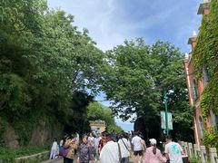 -上海佘山国家森林公园西佘山园