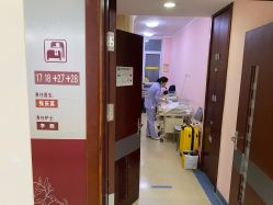 -复旦大学附属妇产科医院(杨浦院区)