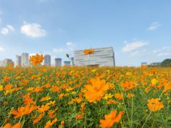 -武汉理工大学（南湖新校区）-图书馆