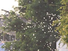 -胡里山炮台
