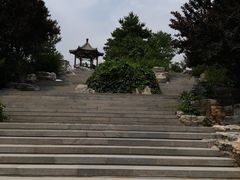 -大兴滨河森林公园