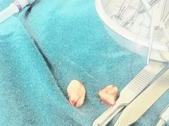 -耀光牙科(南园店)