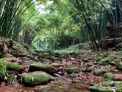 -川西竹海景区