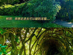 -中国科学院华南植物园