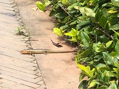 -中海·庐山西海君澜度假酒店·味屿全日制餐厅