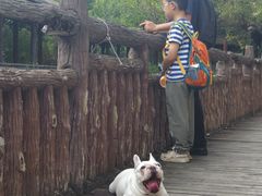 -龙潭水乡