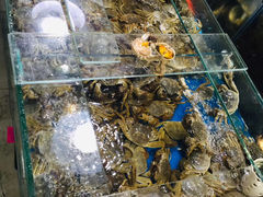 -王四营海鲜市场