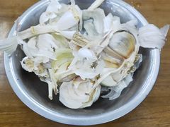 -回坊马二饺子馆